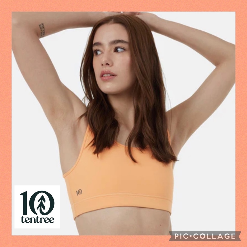 🌲TENTREE🌲 IN MOTION SPORTS BRA
